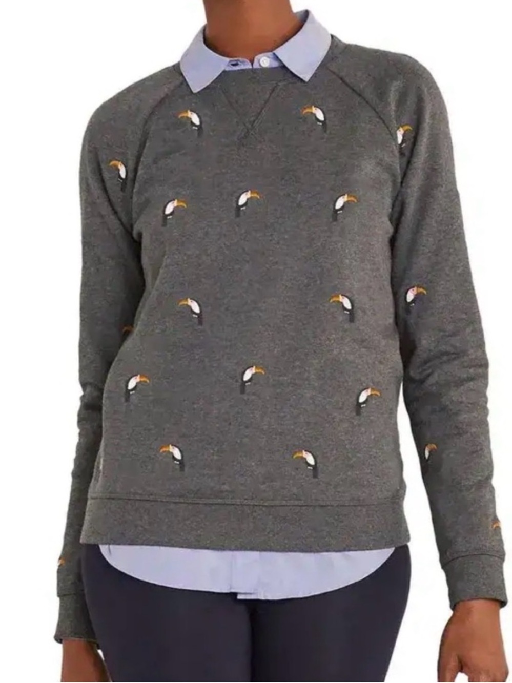 Boden Toucan Gray Cotton Sweatershirt - Picture 2 of 15